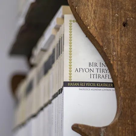 Ayisigi Hotel Ayvalı