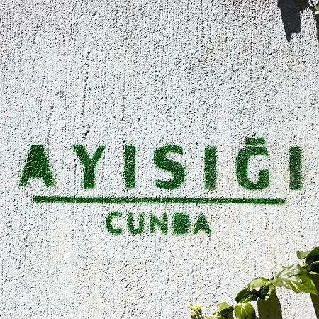 Хотел Ayisigi