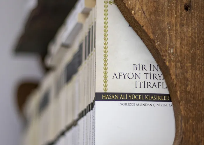 Ayisigi Hotel Ayvalı